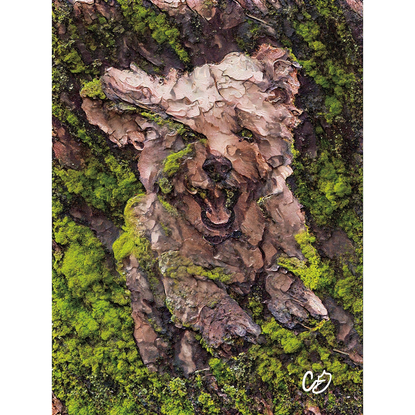 Mossy Dog