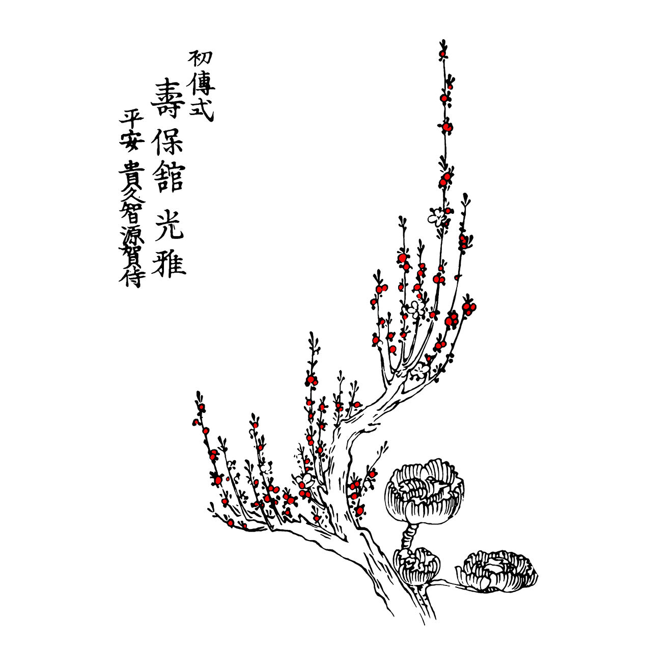 Berry Plant
