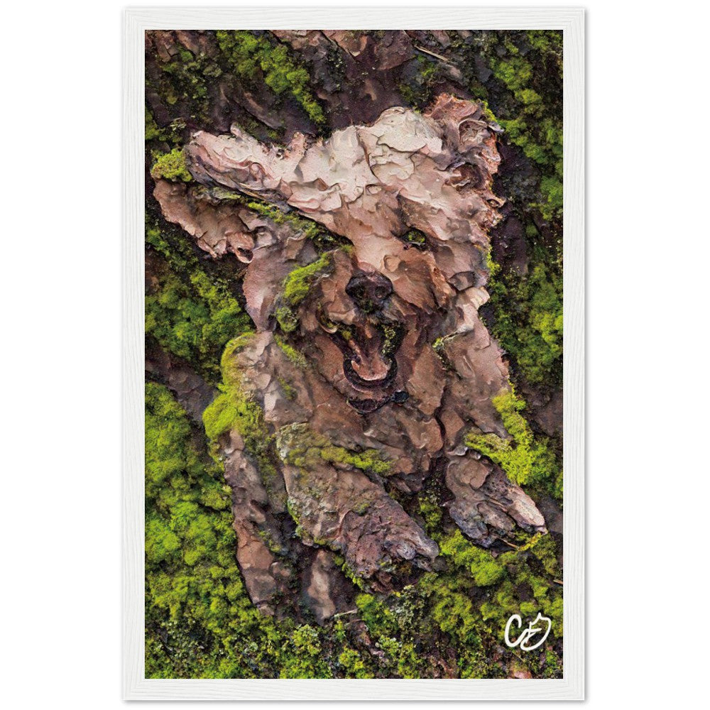 Mossy Dog