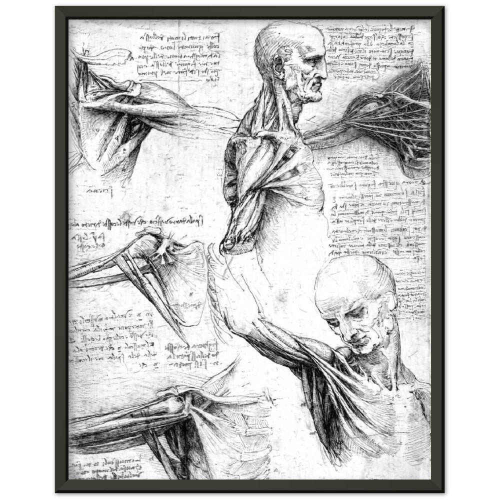 Leonardo Da Vinci Shoulder, AI Re-Imagined