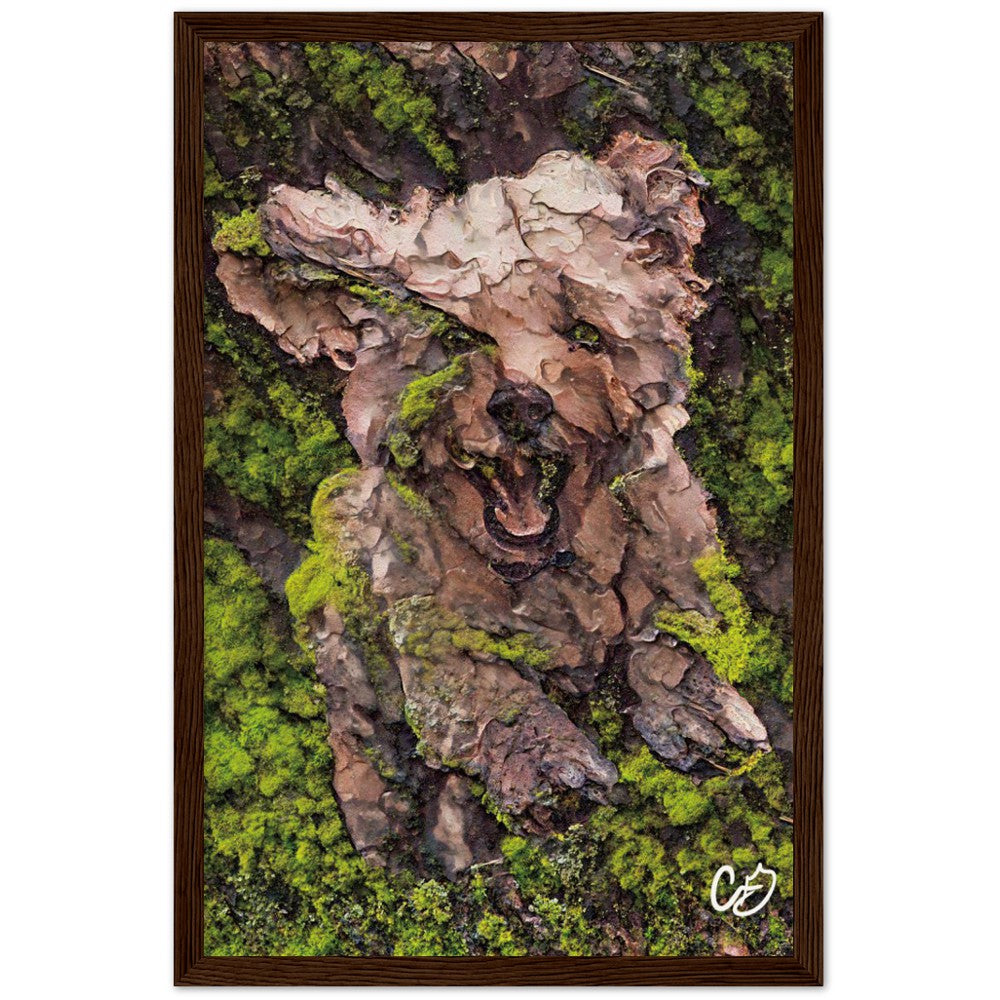 Mossy Dog