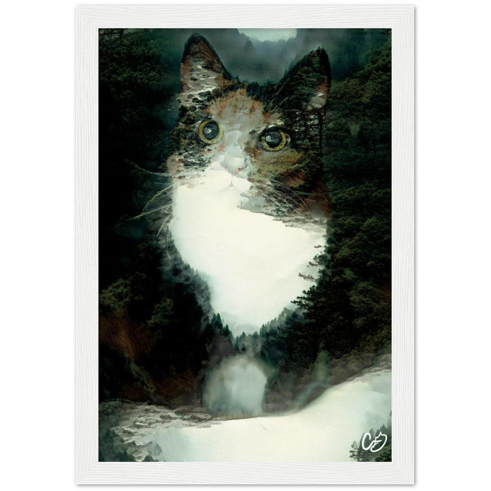 Misty Forest Cat