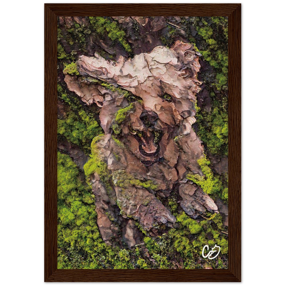Mossy Dog