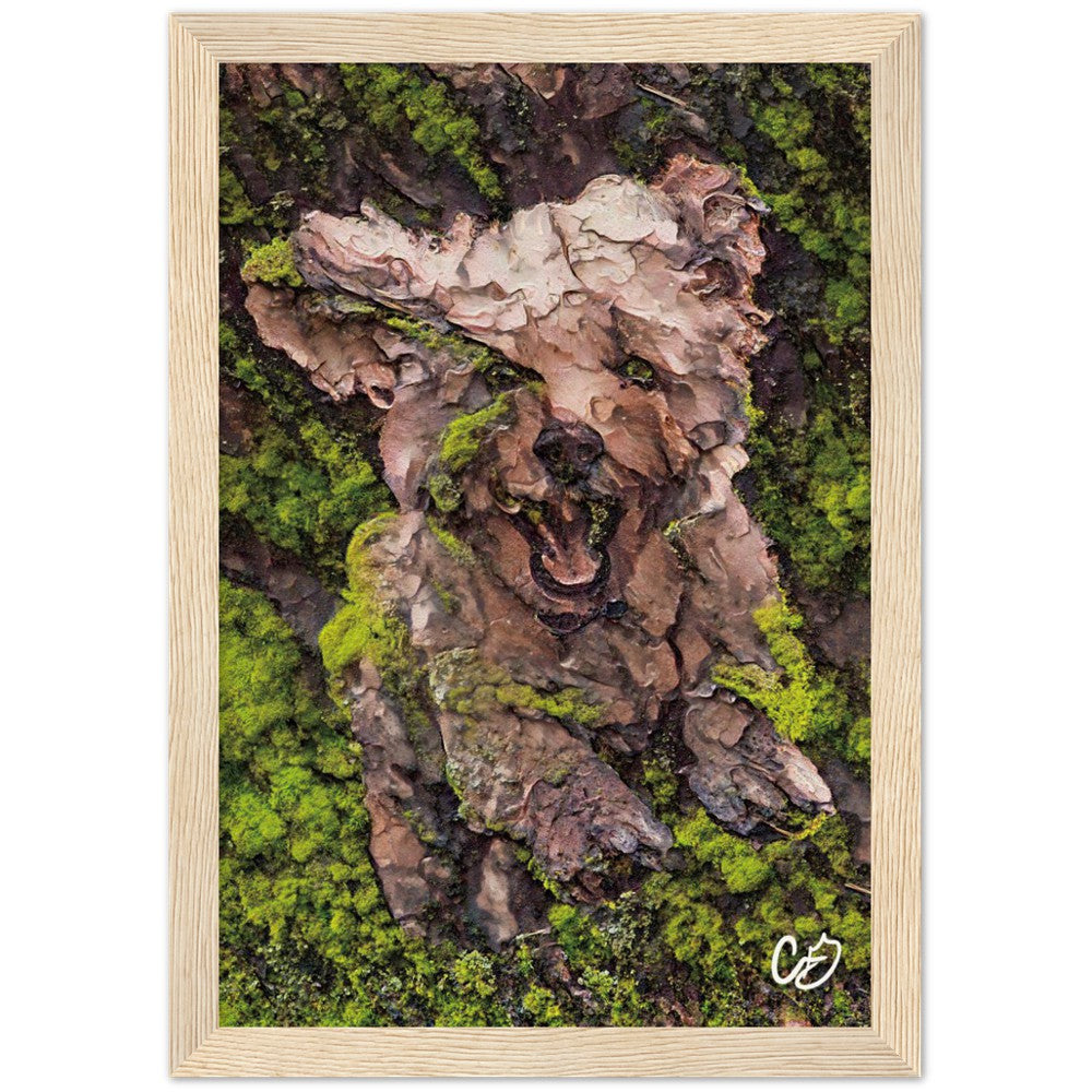 Mossy Dog