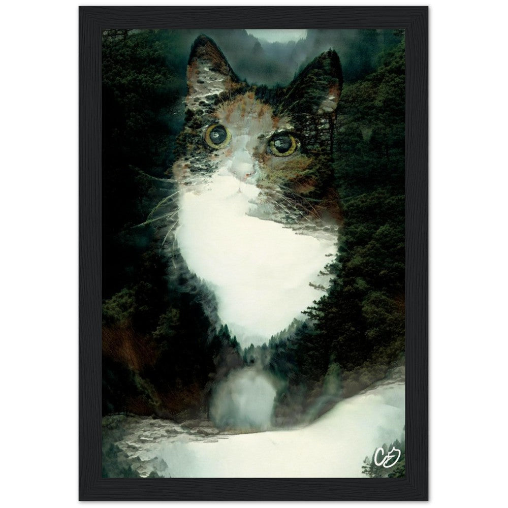 Misty Forest Cat