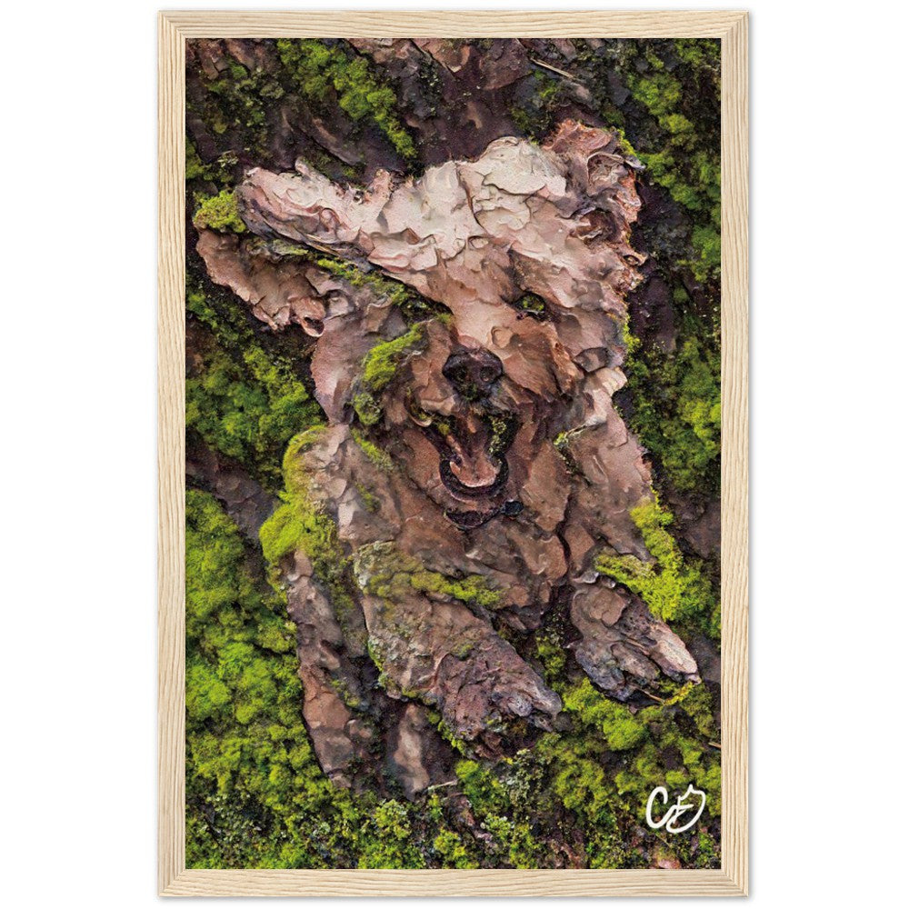 Mossy Dog
