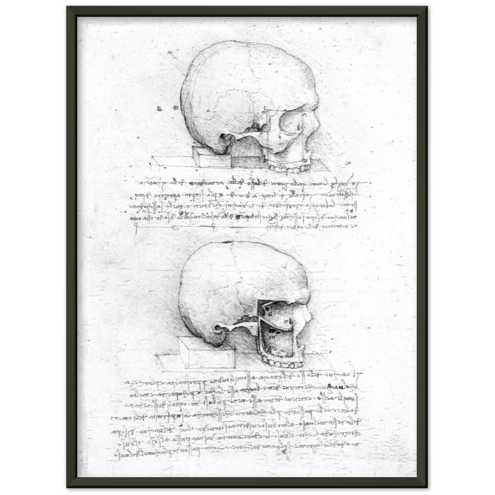 Leonardo Da Vinci Skull, AI Re-imagined