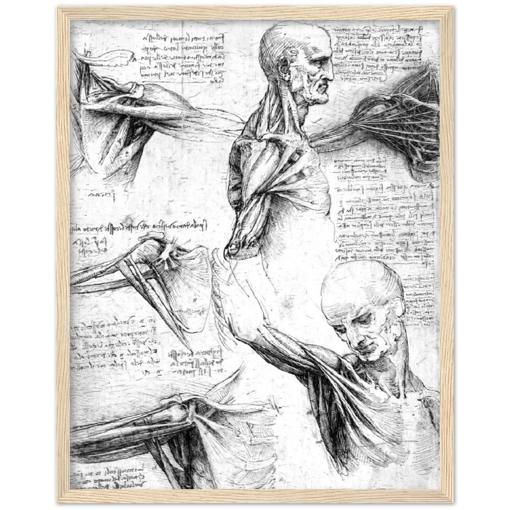 Leonardo Da Vinci Shoulder, AI Re-Imagined
