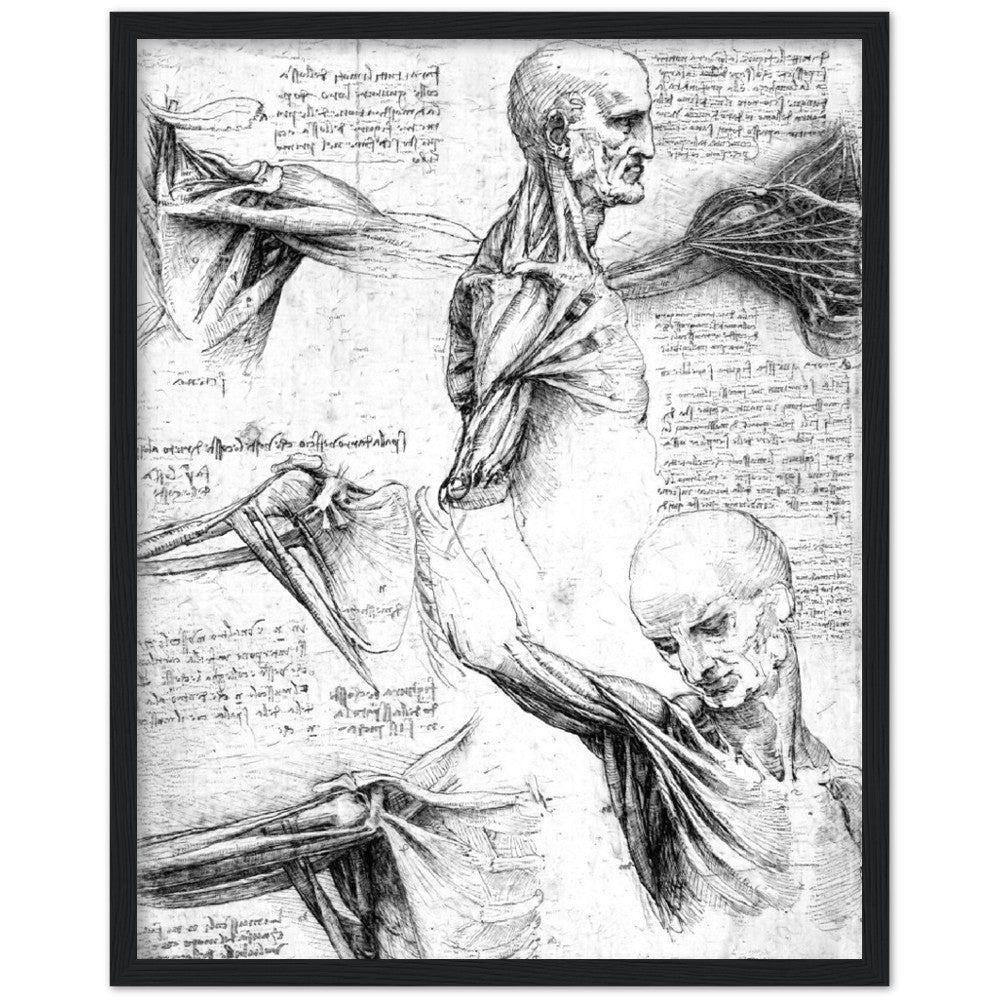 Leonardo Da Vinci Shoulder, AI Re-Imagined