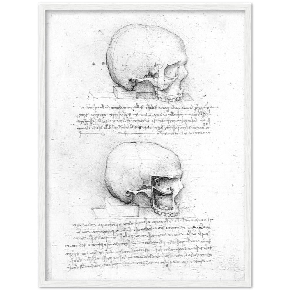 Leonardo Da Vinci Skull, AI Re-imagined
