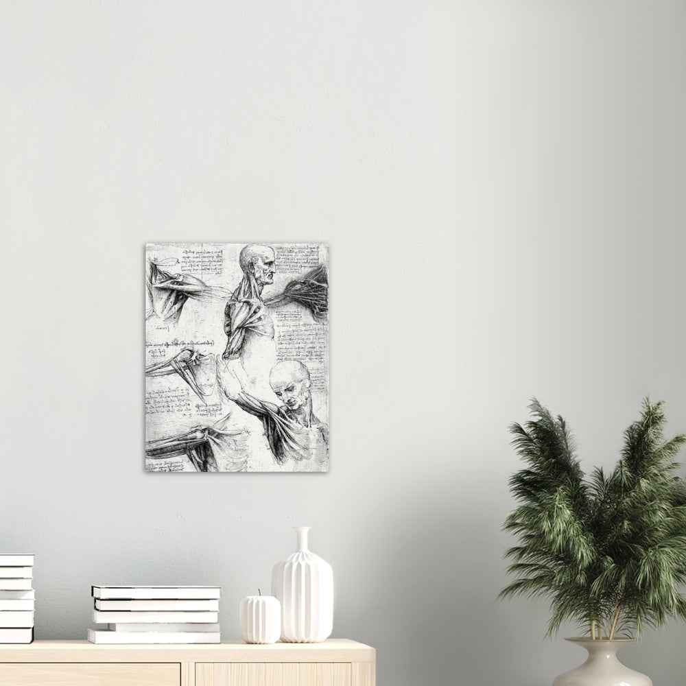 Leonardo Da Vinci Shoulder, AI Re-Imagined