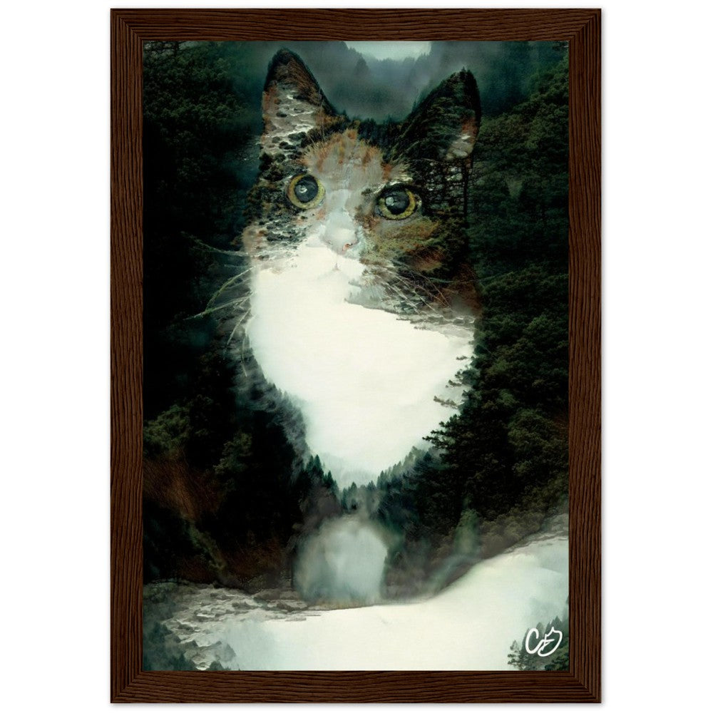 Misty Forest Cat