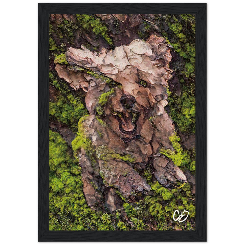 Mossy Dog