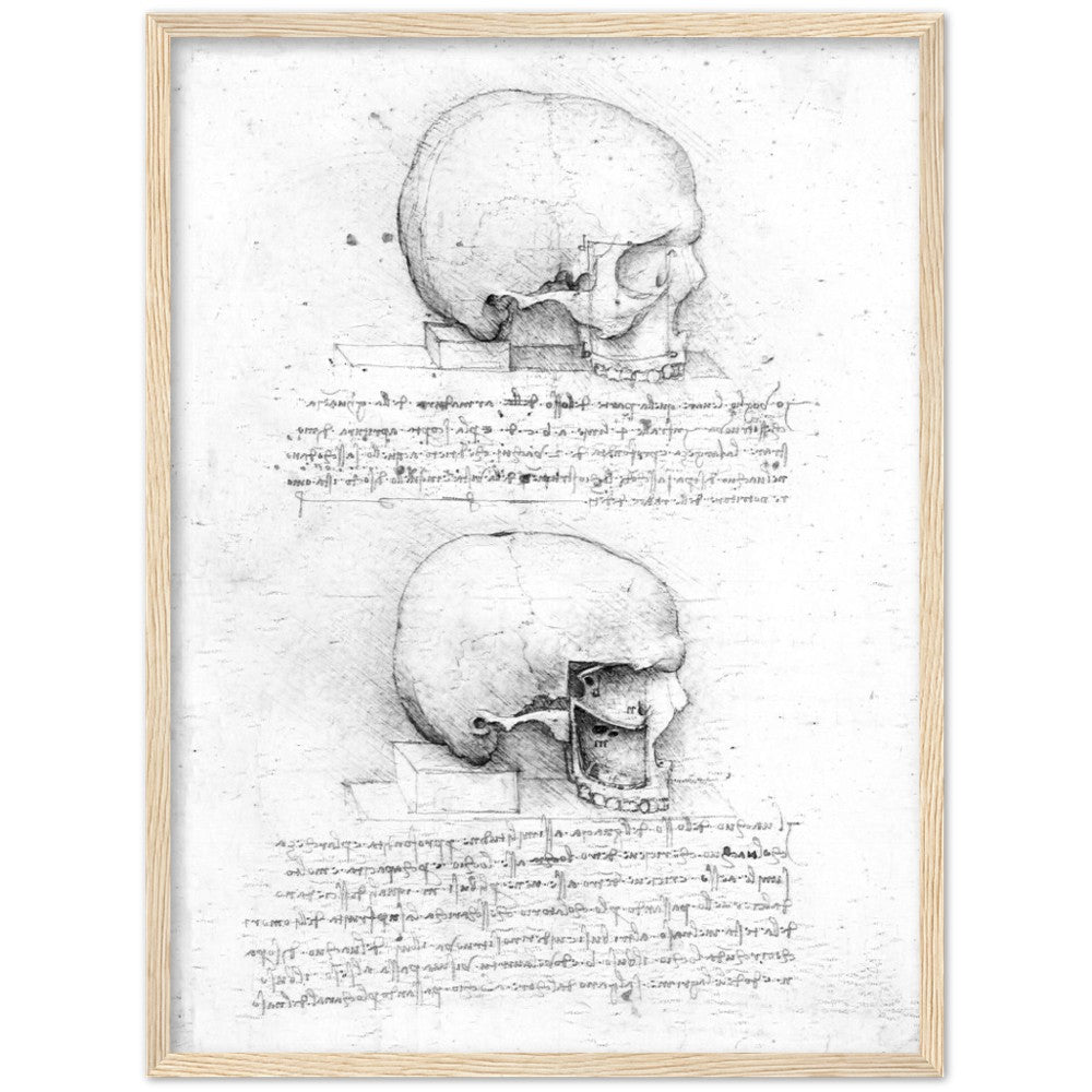 Leonardo Da Vinci Skull, AI Re-imagined
