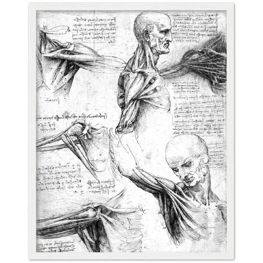 Leonardo Da Vinci Shoulder, AI Re-Imagined