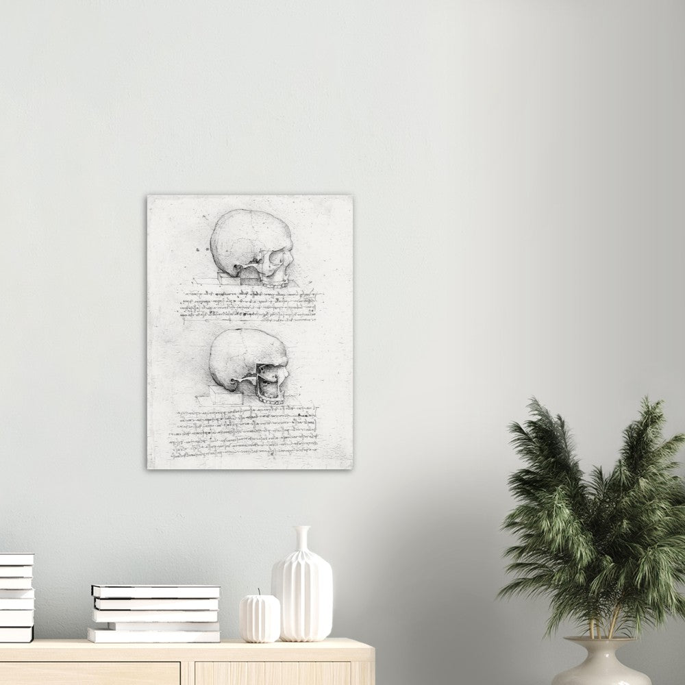 Leonardo Da Vinci Skull, AI Re-imagined