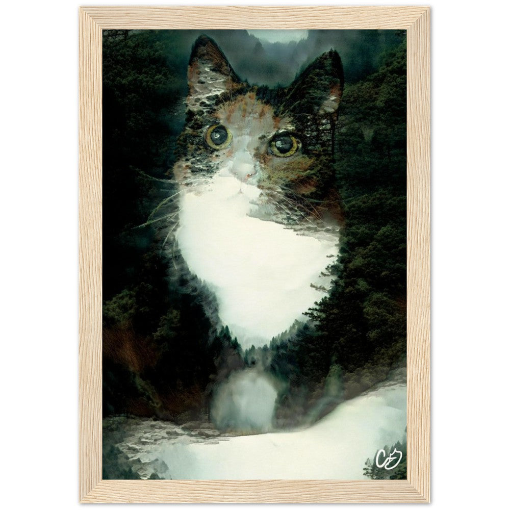 Misty Forest Cat