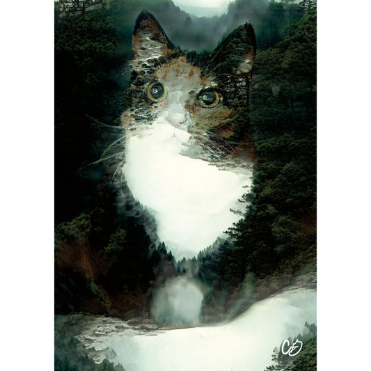 Misty Forest Cat