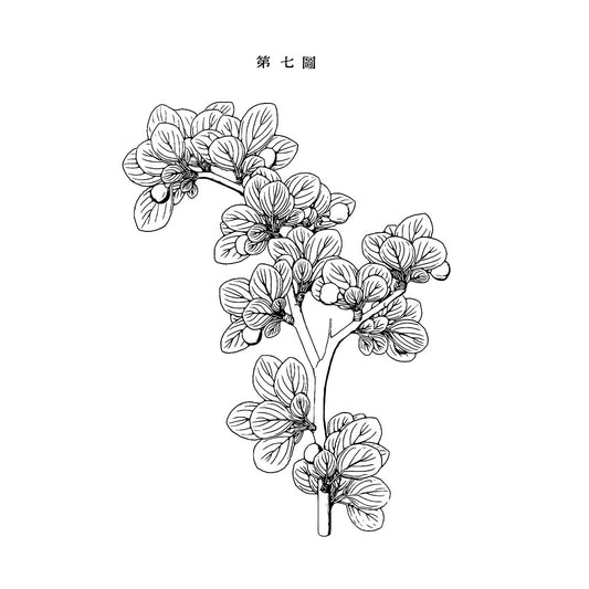 a black flower on a white background with Chinese text above it