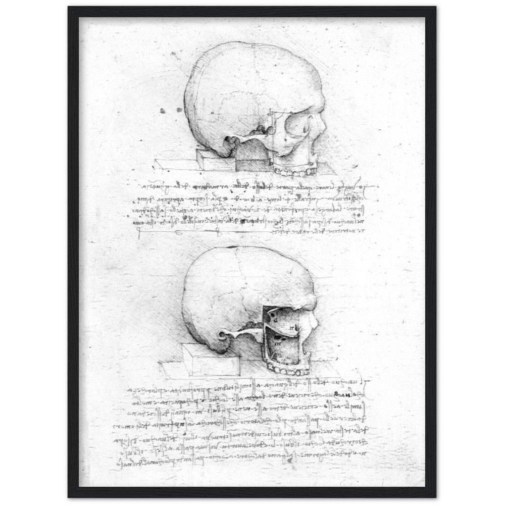 Leonardo Da Vinci Skull, AI Re-imagined